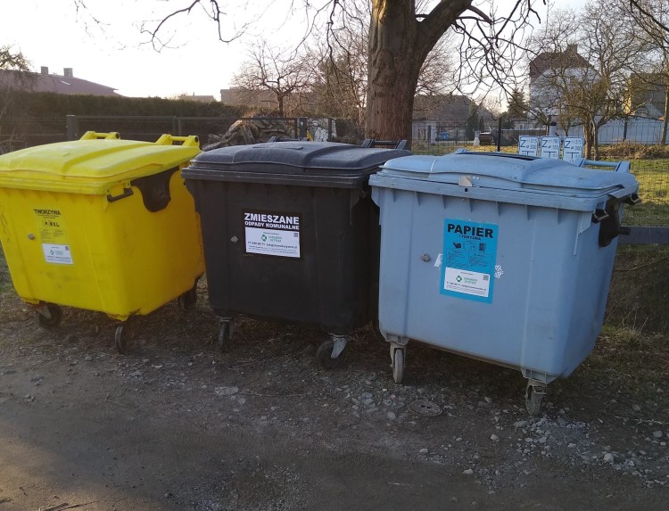 Śmieciowy problem na Jerzmanowie. Przez remonty nie zbierają odpadów, Ekosystem