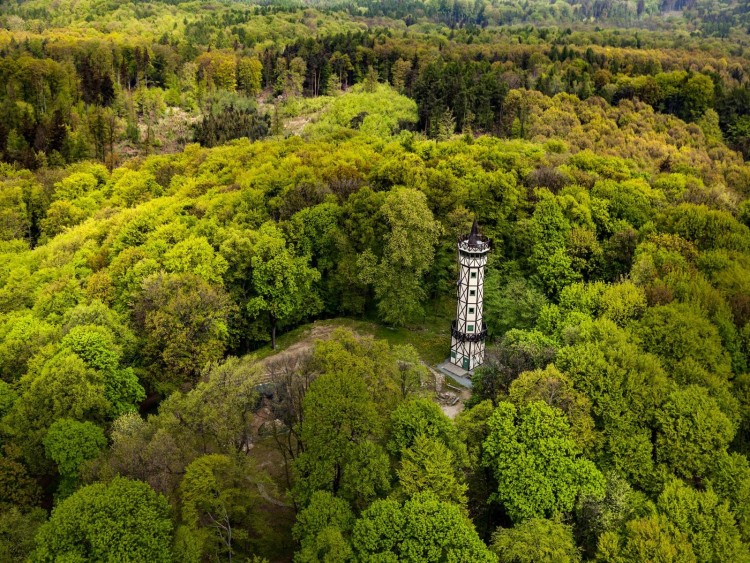 Lasy w okolicach Wrocławia - najciekawsze pomysły na spacer i piknik - tu odetchniesz od miasta [POMYSŁY NA WYCIECZKĘ], Gmina Przeworno