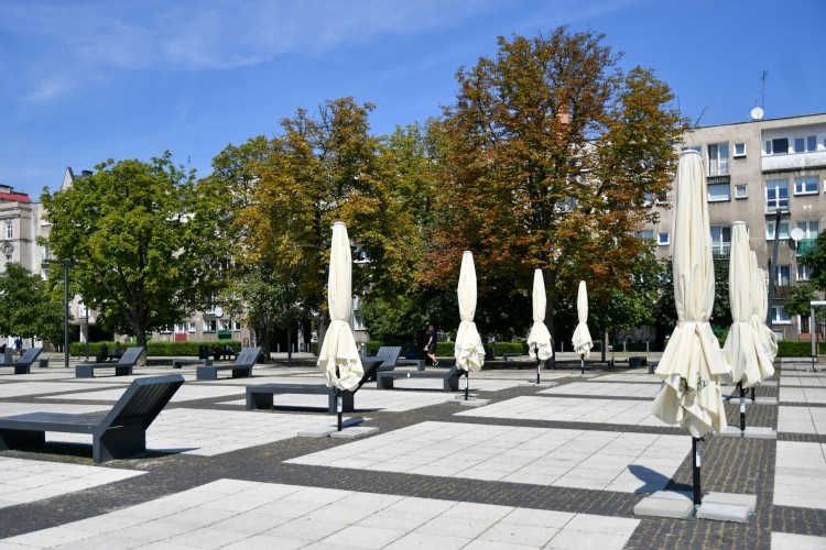 Wrocław: Plac Nowy Targ grzeje betonem. Kiedy więcej zieleni? Nie wiadomo, UM Wrocław
