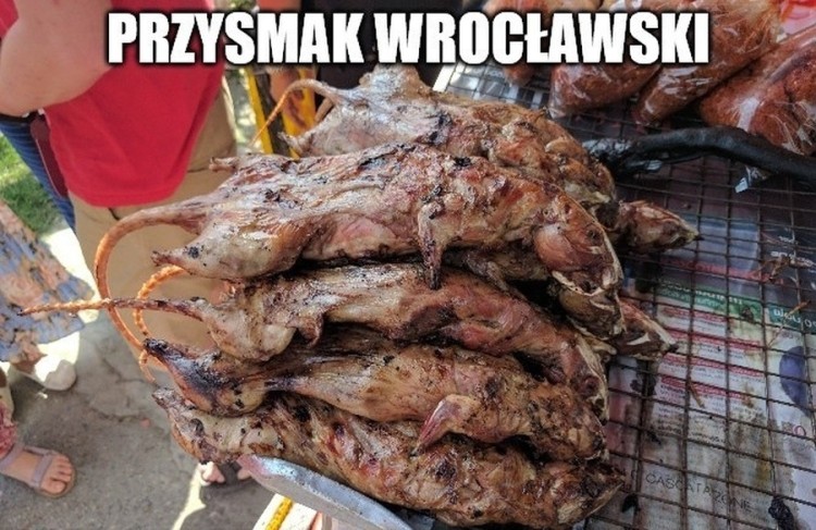Internet drwi z Wrocławia. Zobacz najnowsze memy. Oto, jak nas widzą..., 