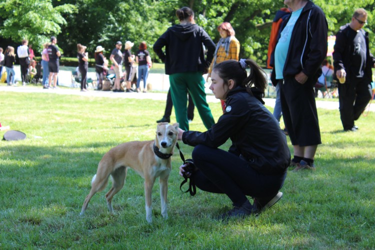 Wrocław: Latające Psy opanowały Park Południowy. Trwają zawody [ZDJĘCIA], Klaudia Kłodnicka