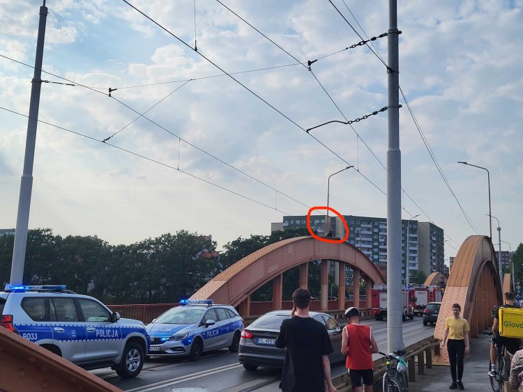 Mężczyzna chciał skoczyć z mostu Trzebnickiego do Odry. Akcja służb, Zdjęcie nadesłane przez czytelnika