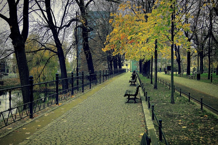 Jest pierwsza prognoza pogody dla Wrocławia na jesień. Wrzesień będzie gorący!, Pixabay