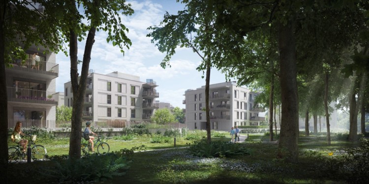 Wrocław: Przy samym parku budują duże osiedle. Pod oknami będą chodziły wiewiórki, Materiały inwestora