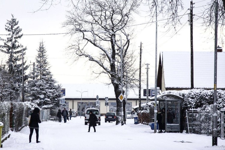 Zima we Wrocławiu. Do kiedy będzie padał śnieg?, fot. TuWroclaw.com