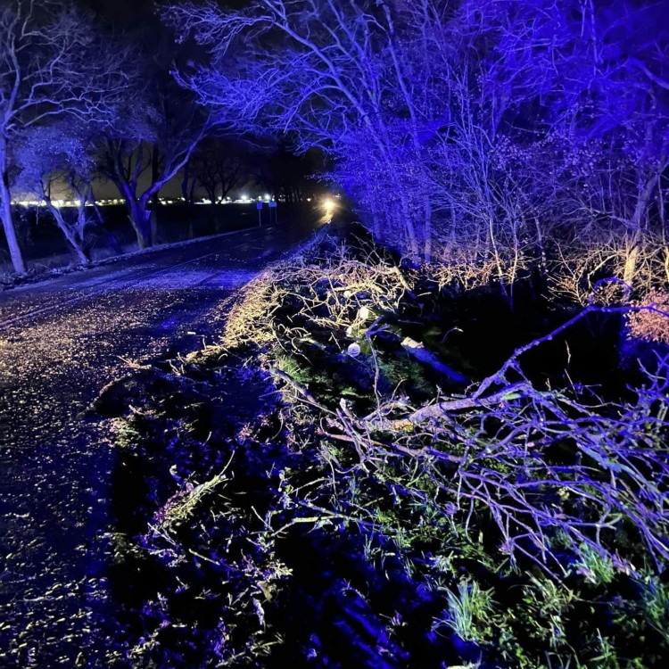 Cyklon Zoltan we Wrocławiu. Wypadki, powalone drzewa, zerwane sieci i ranni, OSP Żórawina