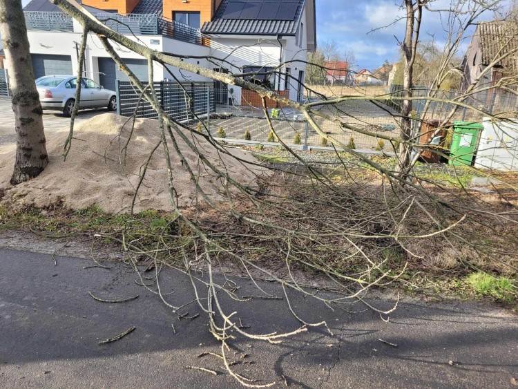 Cyklon Zoltan we Wrocławiu. Wypadki, powalone drzewa, zerwane sieci i ranni, OSP Radwanice