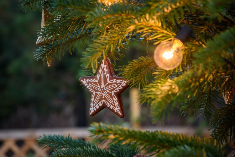 Życzenia świąteczne na Boże Narodzenie - ładne, zwyczajne, normalne. Wybierz i wyślij bliskim, Adobe Stock