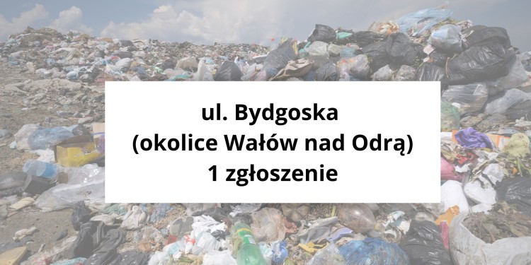 Oto miejsca we Wrocławiu, które toną w śmieciach. Tu jest najgorzej, Archiwum Tuwroclaw.com