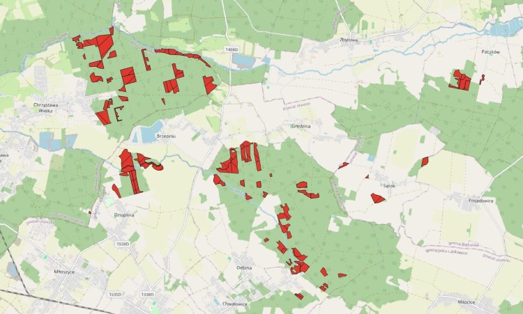 Minister wprowadza zakaz wycinki lasów we Wrocławiu i okolicach, Pixabay