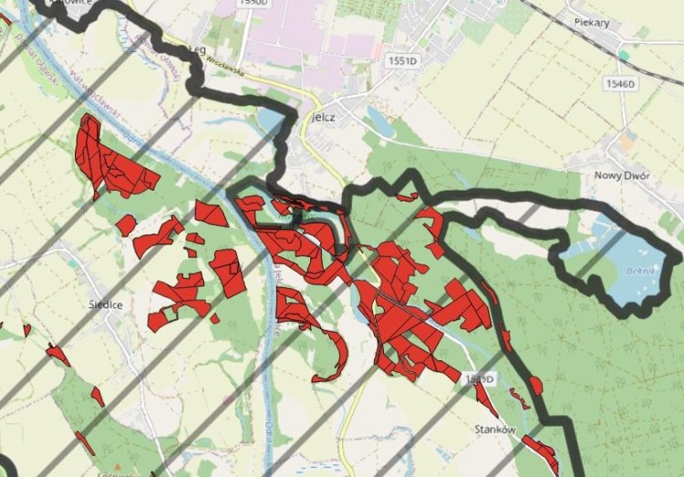Minister wprowadza zakaz wycinki lasów we Wrocławiu i okolicach, Pixabay