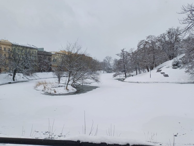 Tak wygląda zima we Wrocławiu w Waszych obiektywach. Niezwykłe zdjęcia i film, Karolina Jamróz