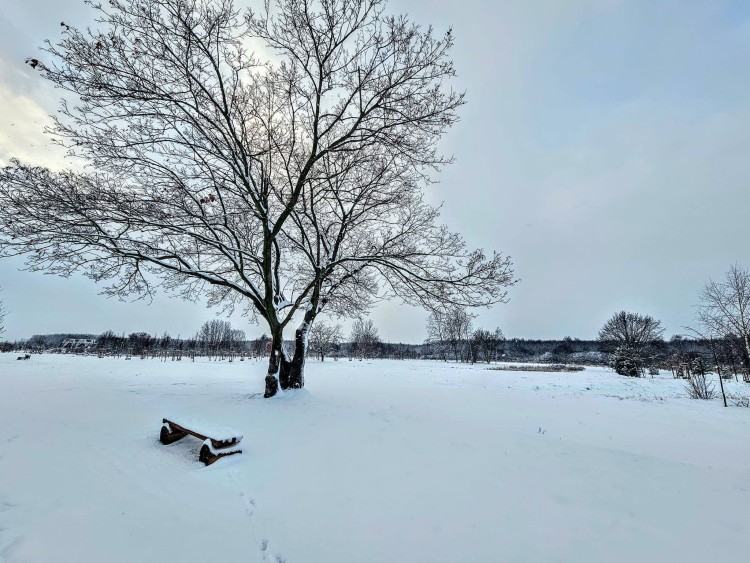 Tak wygląda zima we Wrocławiu w Waszych obiektywach. Niezwykłe zdjęcia i film, Karolina Kratochwil