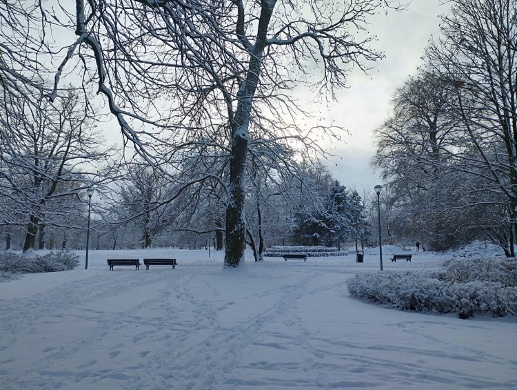 Tak wygląda zima we Wrocławiu w Waszych obiektywach. Niezwykłe zdjęcia i film, Sebastian Baniak