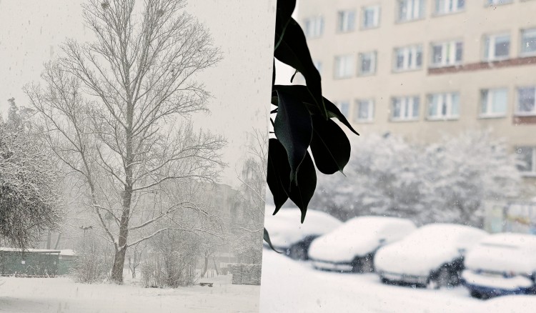 Tak wygląda zima we Wrocławiu w Waszych obiektywach. Niezwykłe zdjęcia i film, Aneta Dżugaj