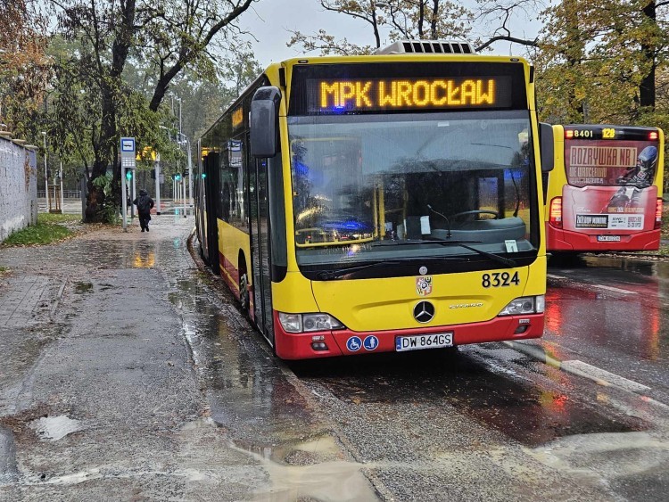 Mieszkańcy Widawy chcą nowej linii autobusowej. W mieście brakuje pojazdów MPK, 