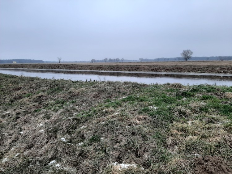 Rzeki pod Wrocławiem podnoszą się z godziny na godzinę. Jest alarm powodziowy, Wody Polskie