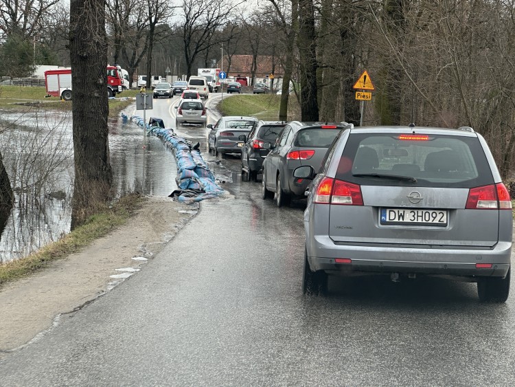 Coraz groźniej pod Wrocławiem. Woda zalewa podwórka, Askaniusz Polcyn