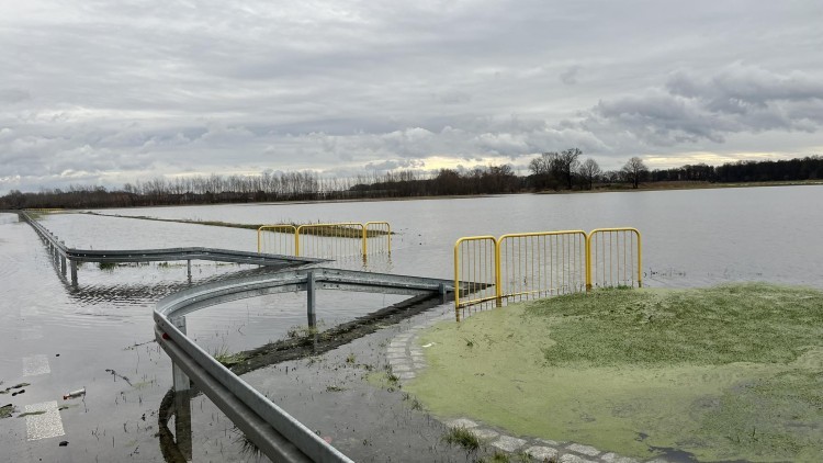 Woda zalała pola pod Wrocławiem. 