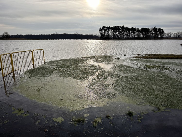 Woda zalała pola pod Wrocławiem. 