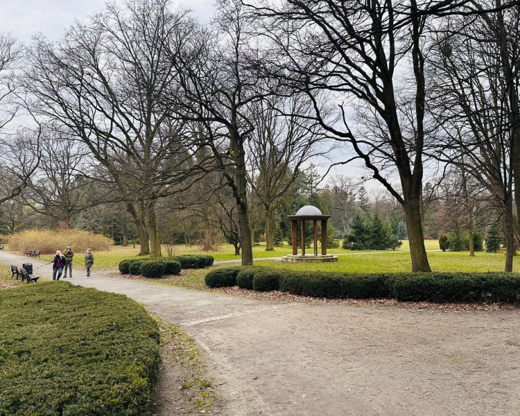 Piękna wiosna w największym wrocławskim parku. Czas wybrać się na spacer!, AP
