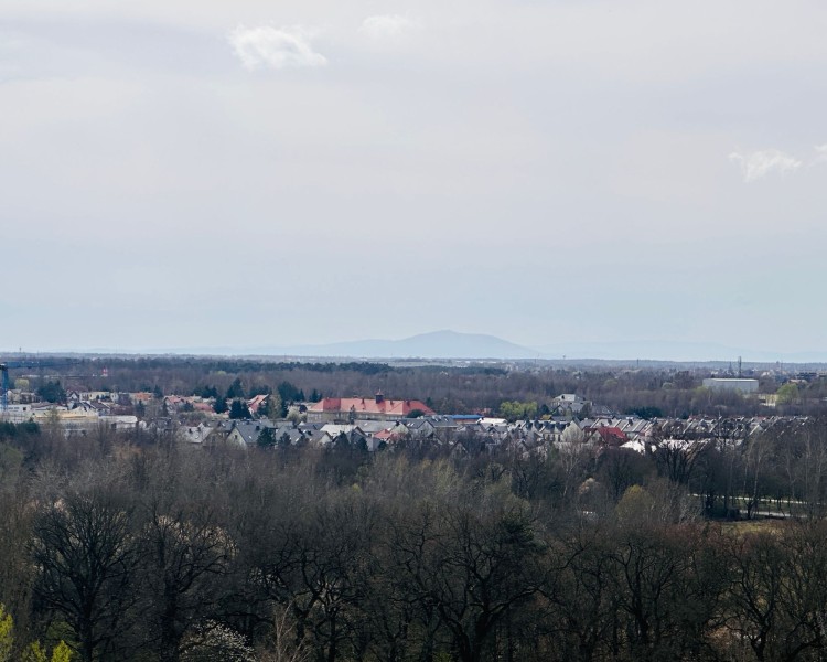Najwyższe wzgórze we Wrocławiu. Zobacz, jak pięknie widać stąd miasto!, jj
