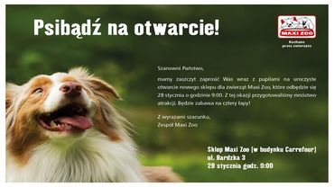 Wyjątkowe atrakcje w pierwszym sklepie Maxi zoo we Wrocławiu!