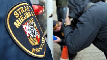 Wrocław: strażnicy sprawdzą, czy twój samochód truje powietrze [ZOBACZ ZDJĘCIA]