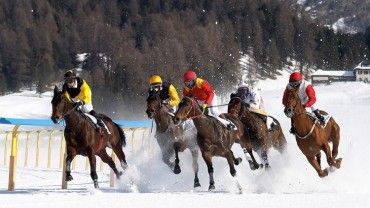 Konie z partynickich stajni znów pobiegną w Sankt Moritz