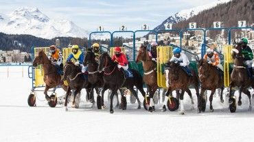Finał alpejskich zmagań w Sankt Moritz
