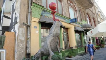 Krokodyl z Kalambura odzyskał balonik!