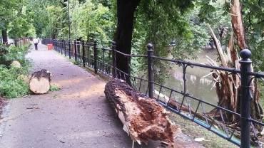 Wielka nawałnica przeszła przez Wrocław - zalane drogi, połamane drzewa [ZDJĘCIA]