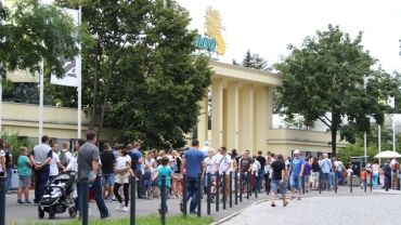 Wrocławianie ruszyli do zoo. Tłumy w kolejkach, ogromne korki na ulicach [ZDJĘCIA]