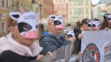 Wrocław: protestowali przeciwko długodystansowemu transportowi zwierząt [ZDJĘCIA]