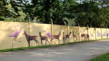 Nowy mural wrocławskiego zoo odsłonięty! A na nim aż 260 zwierząt [ZDJĘCIA]