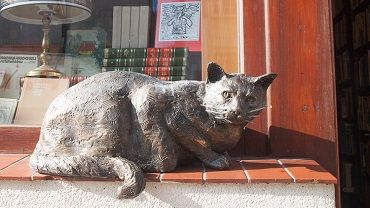 Legendarny kot powrócił do antykwariatu na Szewskiej. Dante ma swój pomnik! [ZDJĘCIA]