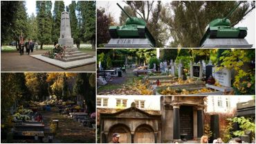 Co wiesz o wrocławskich cmentarzach? [QUIZ]