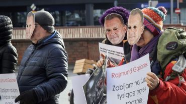 Wrocławscy obrońcy zwierząt popierają zmiany zaproponowane przez PiS. „Zakaz jest bliżej niż kiedykolwiek wcześniej” [ZDJĘCIA]
