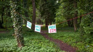 Wrocław: społecznicy wyrywali siewki ręcznie, bo bali się, że zieleń miejska zniszczy park