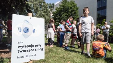 Wrocławscy podatnicy zafundują 100 zielonych ulic na 100-lecie niepodległości