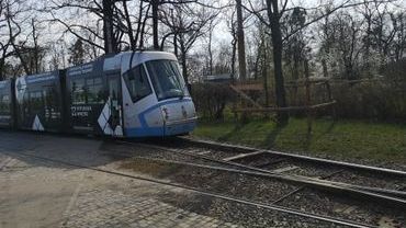 Wkrótce ruszy remont jednej z wrocławskich pętli tramwajowych