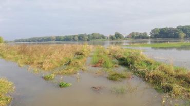 Cofka na rzece Oławie. Jedna z wrocławskich ulic zalana