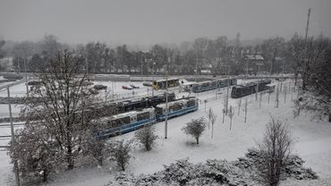 Pierwszy w tym roku atak zimy we Wrocławiu [ZDJĘCIA]