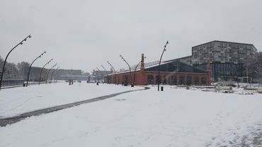 Intensywne opady śniegu. We Wrocławiu zrobiło się biało [DUŻO ZDJĘĆ]