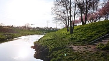 W niedzielę obywatelskie sprzątanie Parku Grabiszyńskiego