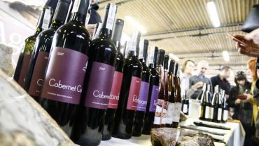 Festiwal wina już w ten weekend. Zaprezentują się winiarze z Dolnego Śląska [LISTA WYSTAWCÓW]