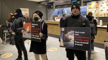 Wrocław: protest wegan w McDonald's, Burger King i KFC. Interweniowała obsługa [ZDJĘCIA, WIDEO]