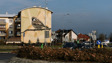 Wypad do Doliny Środkowej Odry – gratka dla wielbicieli ptaków