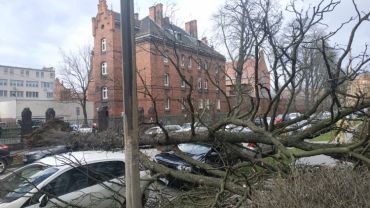 Wrocław: orkan Dudley siał spustoszenie w mieście i regionie