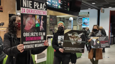 Wrocław: Weganki protestowały w galeriach handlowych. Ochrona wyrzuciła je trzy razy [ZDJĘCIA, WIDEO]
